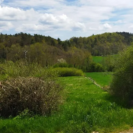 Maison De Charme A Domeyrat: Jardin, Balades, Confort Et Animations Culturelles - Fr-1-582-334